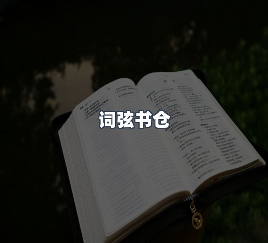 关于词弦书仓